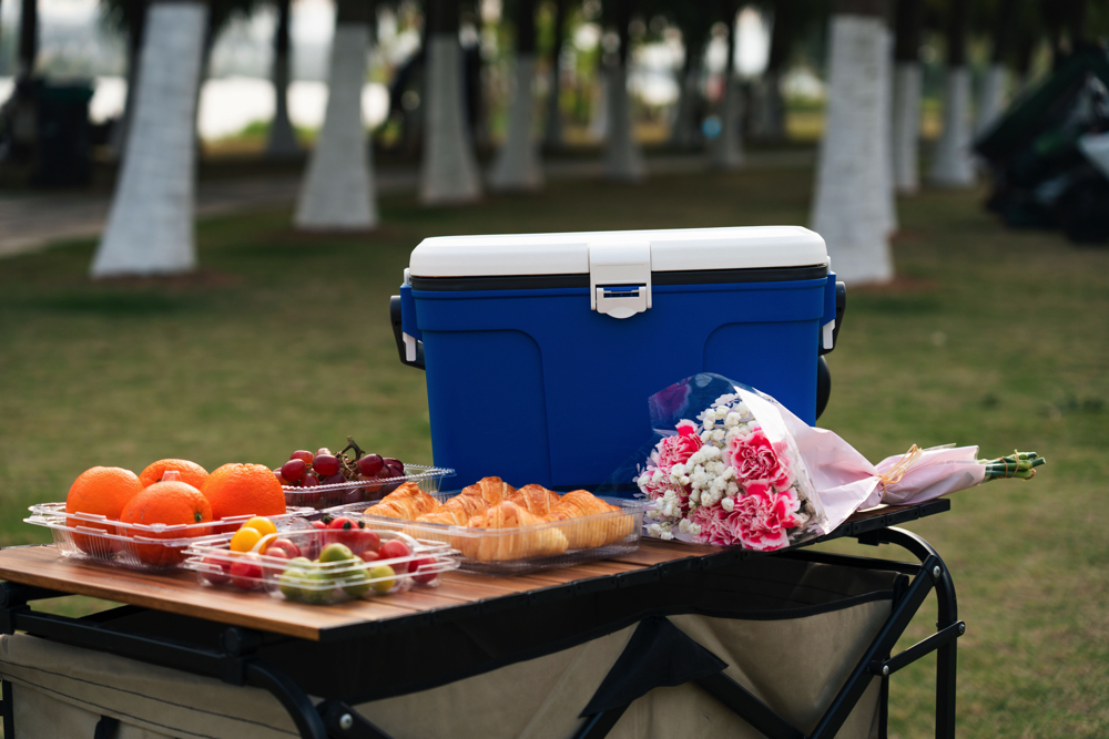 Portable insulated box-13L