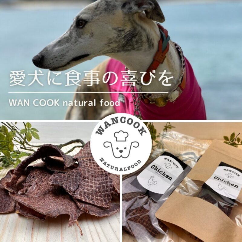 tokyo-dog-show-wancook-natural-food-2025-tokyo